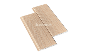 Nano bản nhỏ - 001